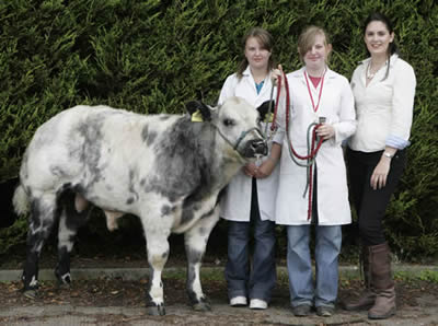 Kerrie Simpson winner of the senior young handler and Julie Simpson who was third with Katie Lomas judge